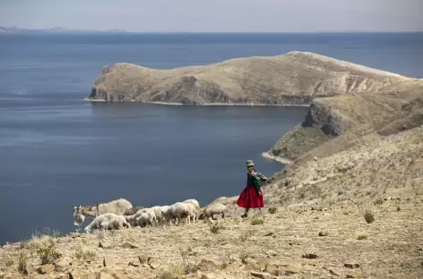 Sur l'île du Soleil - Bolivie