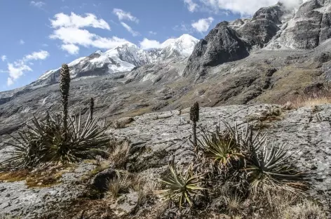 Cordillère Royale, vers la mina Susana - Bolivie