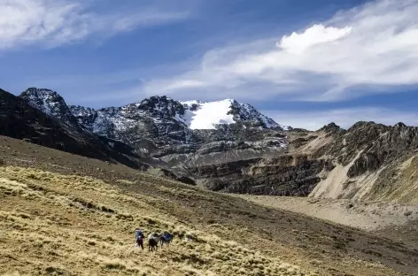 Cordillère Royale, en chemin vers la lagune Ajwani- Bolivie