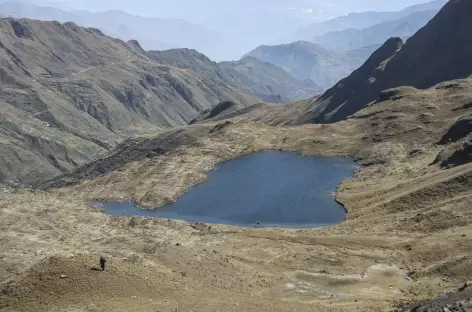 Cordillère Royale, en chemin vers le camp Lojena - Bolivie