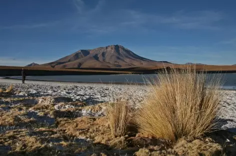 La laguna Hedionda - Bolivie - 
