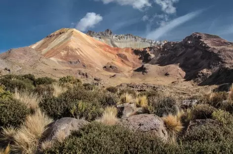 Plein cadre sur le volcan Tunupa - Bolivie - 