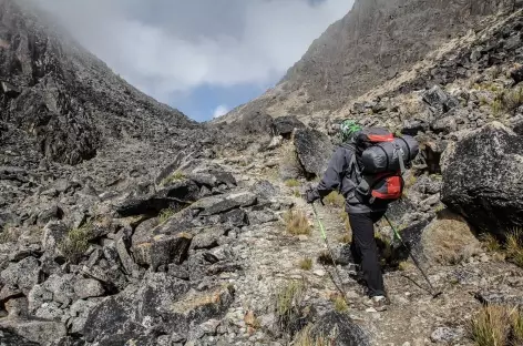 Dans la vallée au pied du col Bengala - Bolivie