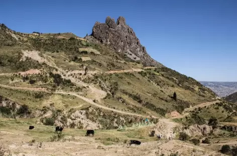 La Paz, balade autour de la Molaire du Diable - Bolivie