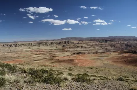 Sur la route entre la Cordillère Quimsa Cruz et La Paz - Bolivie