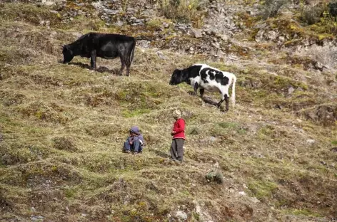 Bergers au-dessus de Kanisaya - Bolivie