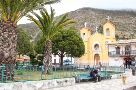 Des palmiers sur la place de Charazani - Bolivie