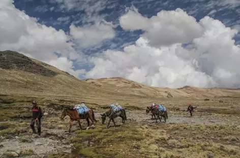 Notre caravane à l'approche de la lagune Pujo Pujo - Bolivie