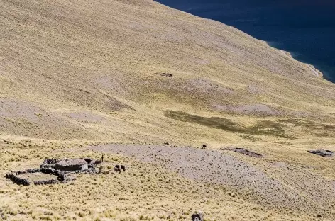 Cordillère Royale, hameau d'alpage au-dessus de la lagune Khotia - Bolivie