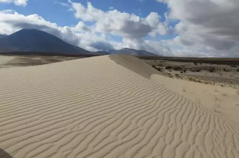 Bolivie, dunes dans la Cordillère Sama