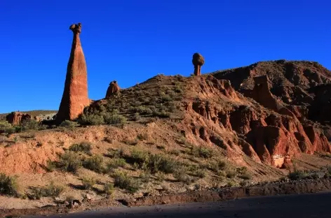 Balade autour de Samawa - Bolivie - 