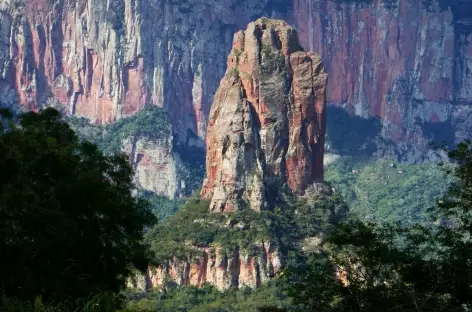 Parc national Amboro - Bolivie