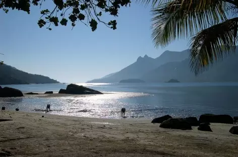 Au bord du fjord Mamangua - Brésil