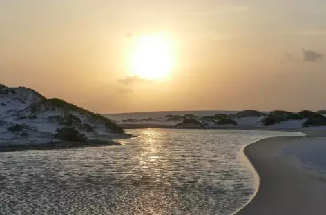 Marche au coucher du soleil dans le parc national Lençois Maranhenses - Brésil