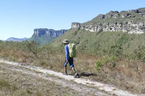 Sur les plateaux couverts de savane rase dans la Chapada Diamantina - Brésil