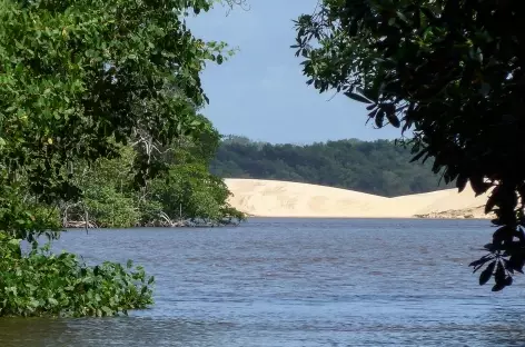 Dunes au bord du rio Preguiças - Brésil