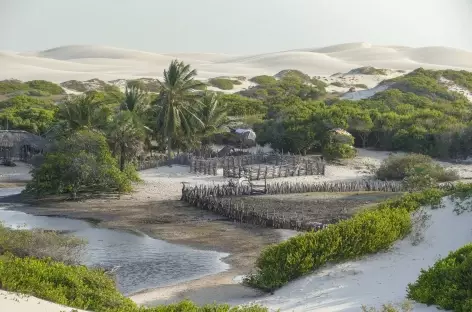 Oasis dans le parc national Lencois Maranhenses - Brésil