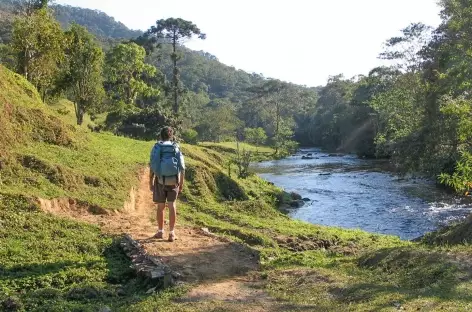 Marche dans la Serra da Bocaina - Brésil