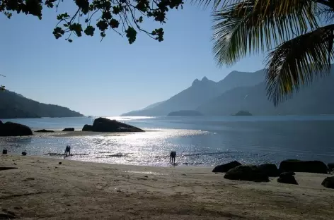 Au bord du fjord de Mamangua - Brésil