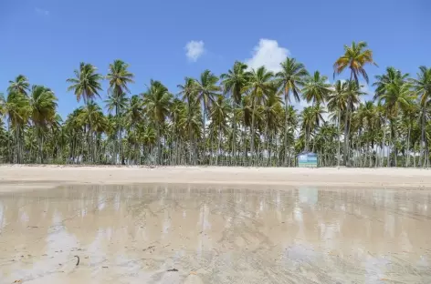 Plage sur l'île Boipeba - Brésil