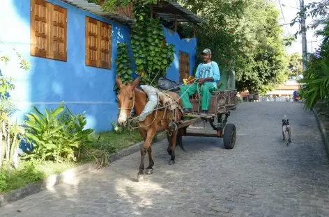 Dans les rues du bourg principal sur l'île Boipeba - Brésil