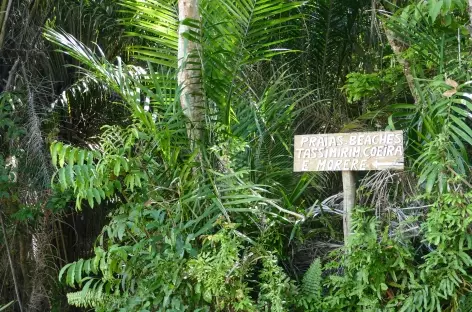 Balade sur les chemins de l'île Boipeba - Brésil