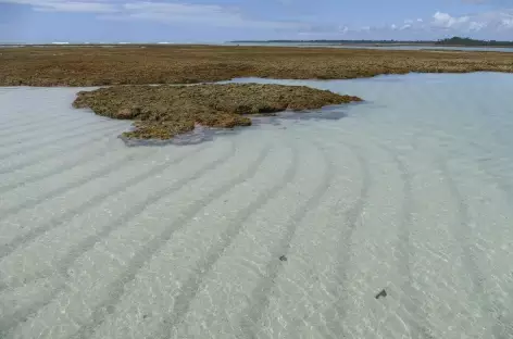 Piscines naturelles sur l'île Boipeba - Brésil