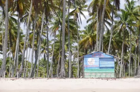 Bar de plage sur l'île Boipeba - Brésil