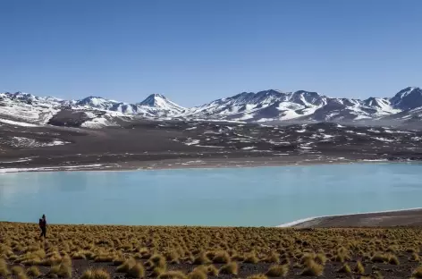 Balade autour de la laguna Verde - Bolivie