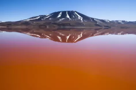 Laguna Colorada - Bolivie