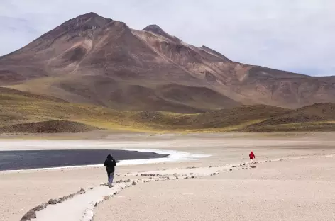 Lagunas Miscanti et Miniques - Atacama - Chili