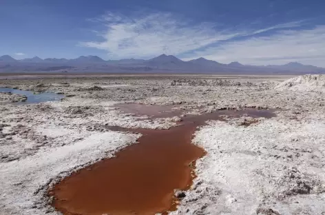 Laguna Chaxa - Atacama - Chili