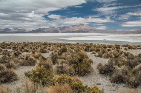 Arrivée au salar de Surire - Chili - 