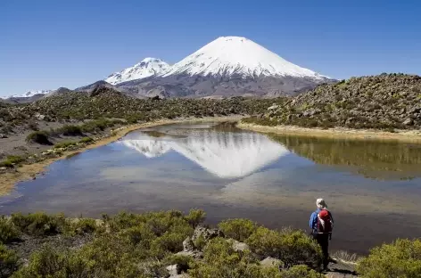 Le Parinacota depuis le Chili