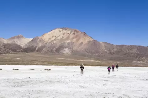 Salar de Surire - Bolivie