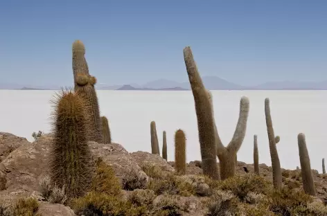 Salar  d'Uyuni - Bolivie