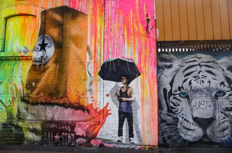 Un mur peint à Santiago - Chili - 