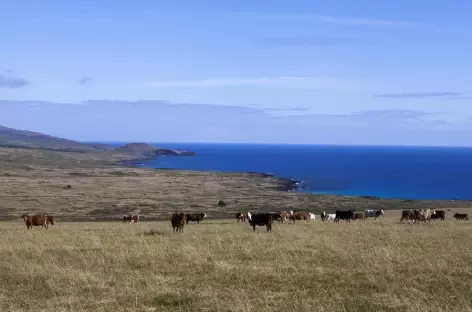 En montant au Poike Île de Pâques