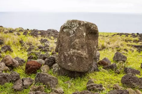 Tête de Moaï