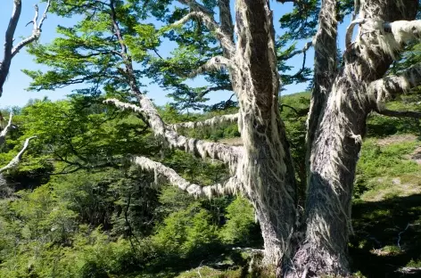 Autour de Terra Luna