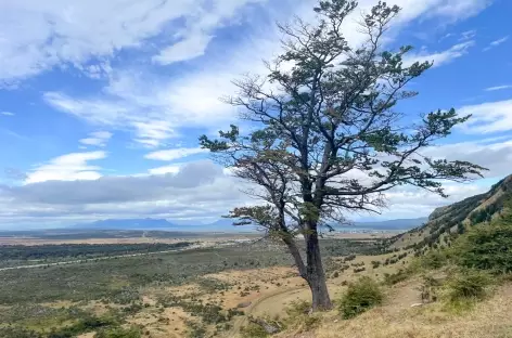 Randonnée dans la Sierra Dorotea - Chili
