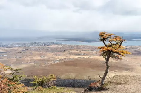 Randonnée dans la Sierra Dorotea - Chili