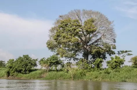 Au bord du fleuve Magdalena entre Barrancabermeja et Mompox - Colombie