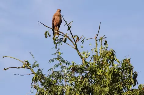 Au bord du fleuve Magdalena entre Barrancabermeja et Mompox - Colombie