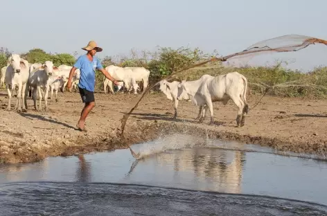 Balade en bateau dans la cienegua de Pinijo - Colombie