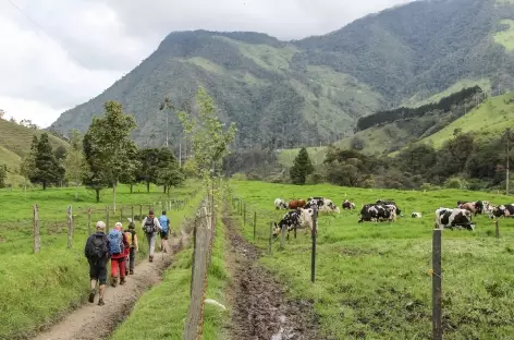 Balade dans la région du café - Colombie