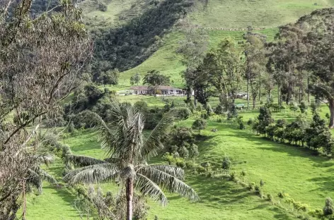 Finca dans la vallée de Cocora - Colombie