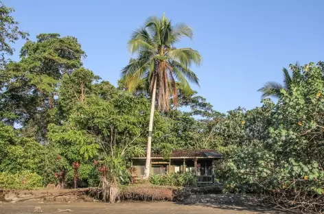 Arrivée à notre lodge dans le parc national Ensenada de Utria - Colombie - Colombie