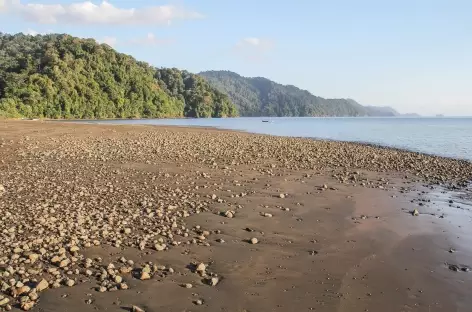 Côte sauvage du Pacifique - Colombie