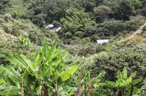 Randonnée dans la région de Tierra Dientro - Colombie